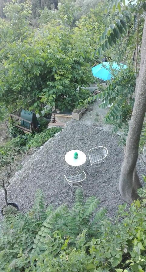 韦尔纳扎Cinque Terre Sea View公寓 外观 照片