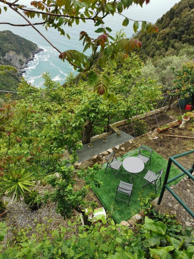韦尔纳扎Cinque Terre Sea View公寓 外观 照片